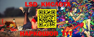 стафф Заволжье