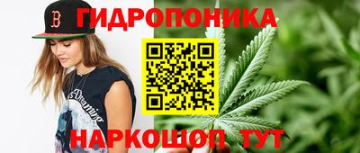 стафф Заволжье