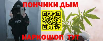 стафф Заволжье