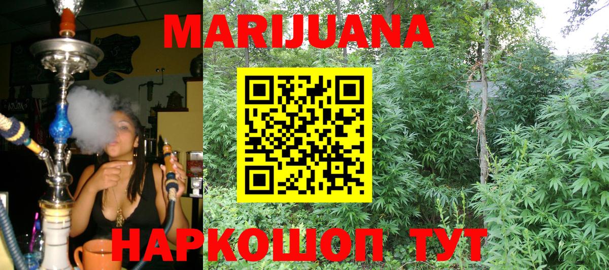 Шишки марихуана семена  Шишки марихуана индика  Кушва  Конопля SATIVA & INDICA  Вход с VPN 